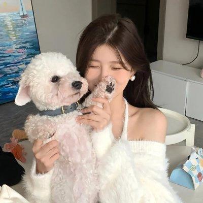 罗布奥特曼剧场版决定了！羁绊的水晶普通话版